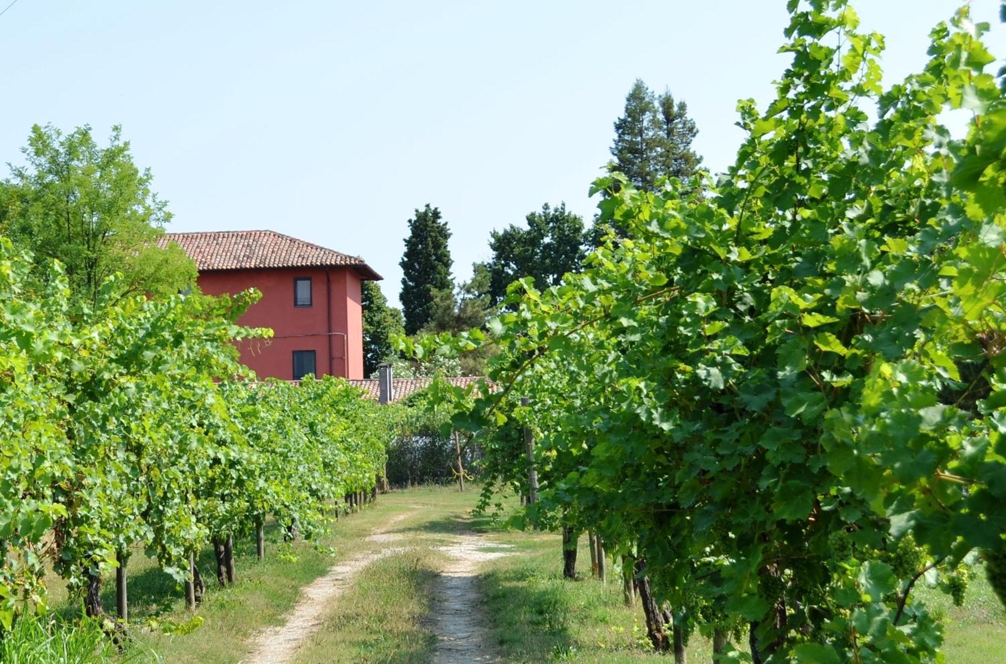 Agriturismo Isola Augusta Palazzolo dello Stella Luaran gambar